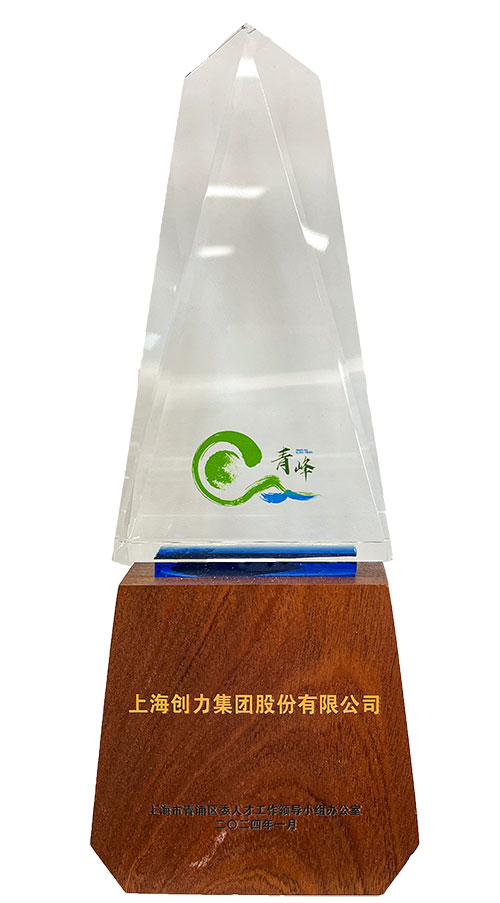 喜報(bào)！上海創(chuàng)力集團(tuán)榮獲2023年度青浦區(qū)百?gòu)?qiáng)優(yōu)秀企業(yè)等三項(xiàng)大獎(jiǎng)(圖3)